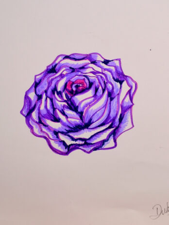 Sketch 9